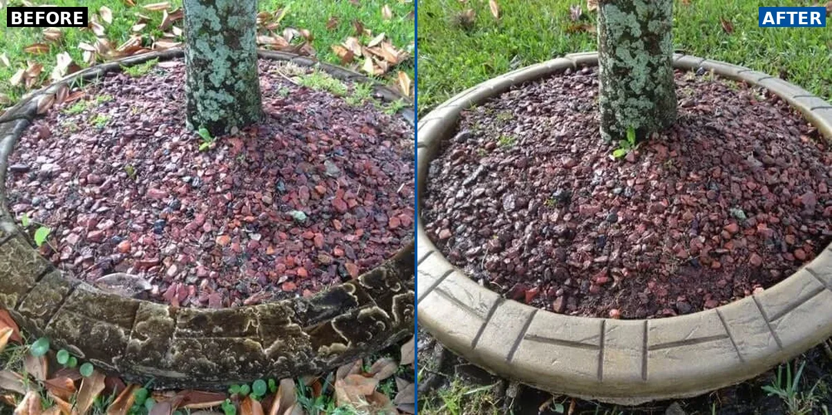 Flower Bed Border Cleaning by BlueLine Services