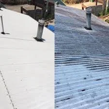 Metal Roof Cleaning by BlueLine Services